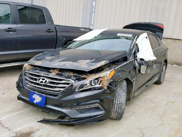 5NPE34AF4FH236637 - 2015 HYUNDAI SONATA SPO BLACK photo 2