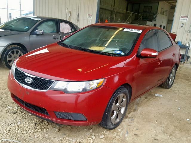 KNAFU4A25A5061870 - 2010 KIA FORTE EX RED photo 2