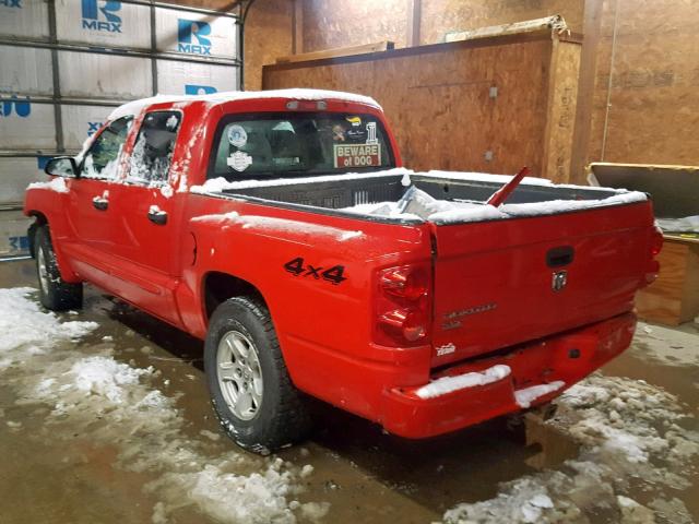 1D7HW48K15S236513 - 2005 DODGE DAKOTA QUA RED photo 3