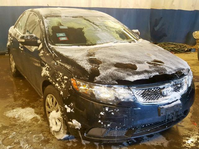 KNAFU4A25A5866994 - 2010 KIA FORTE EX BLACK photo 1