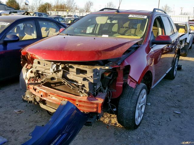 2FMDK3JC3DBB95310 - 2013 FORD EDGE SEL RED photo 2