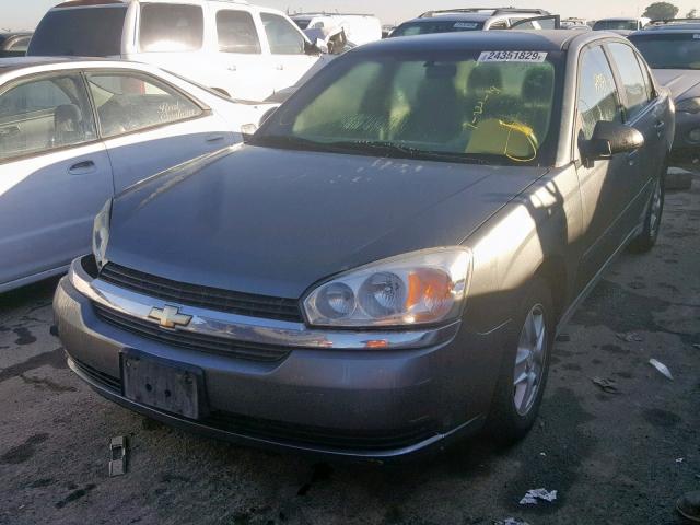 1G1ZT54815F184146 - 2005 CHEVROLET MALIBU LS CHARCOAL photo 2