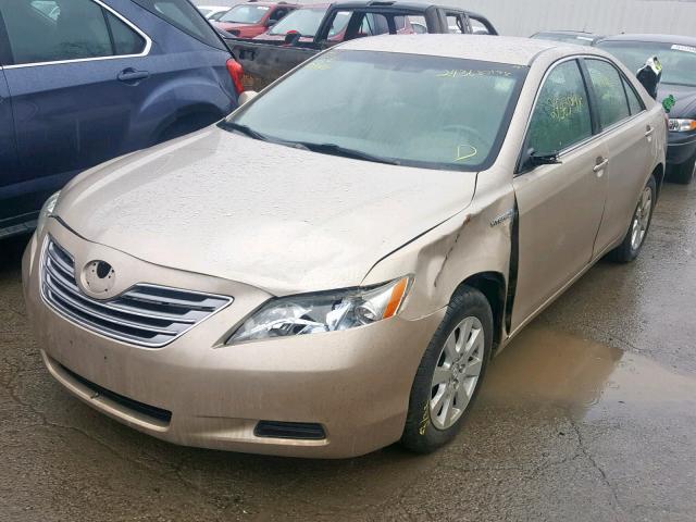 4T1BB46K69U100382 - 2009 TOYOTA CAMRY HYBR GOLD photo 2