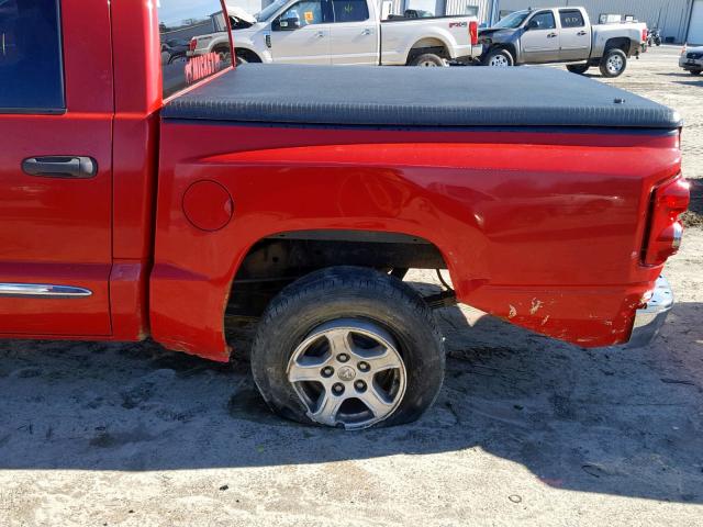 1D7HE58N46S501641 - 2006 DODGE DAKOTA QUA RED photo 9