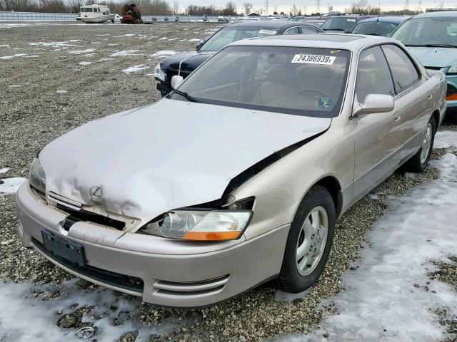 JT8BF12G9T0172263 - 1996 LEXUS ES 300 BEIGE photo 2