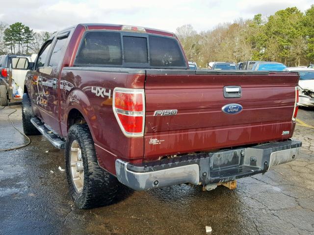 1FTFW1EV4AFC74657 - 2010 FORD F150 SUPER RED photo 3