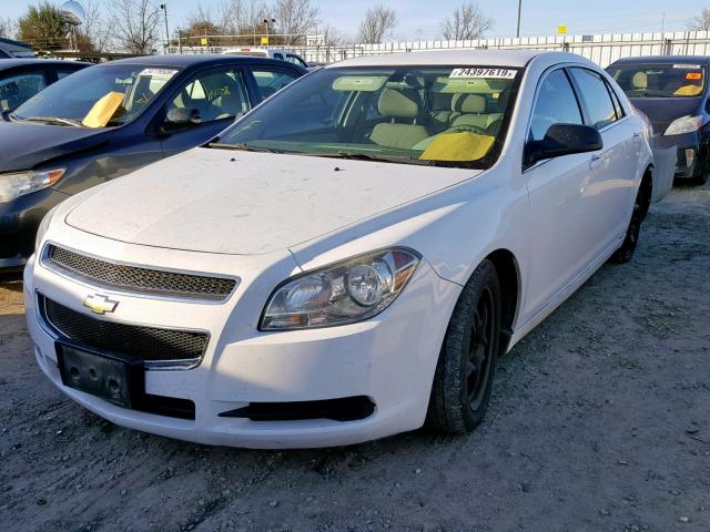 1G1ZA5E00AF290399 - 2010 CHEVROLET MALIBU LS WHITE photo 2