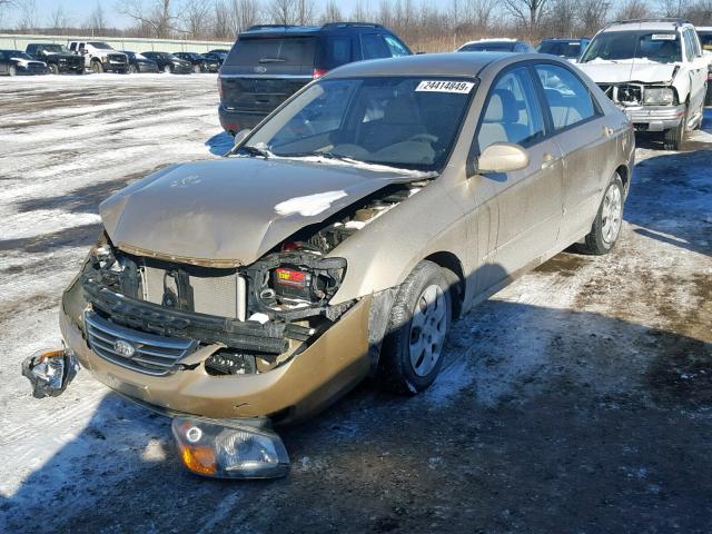 KNAFE221495662013 - 2009 KIA SPECTRA EX GOLD photo 2