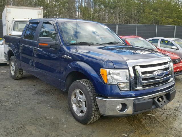 1FTEW1C88AFD63110 - 2010 FORD F150 SUPER BLUE photo 1