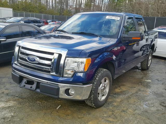 1FTEW1C88AFD63110 - 2010 FORD F150 SUPER BLUE photo 2