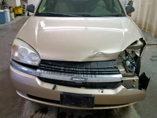 1G1ZU64885F256124 - 2005 CHEVROLET MALIBU MAX თაფლისფერი ფოტო 10