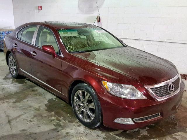 JTHBL46F085068556 - 2008 LEXUS LS 460 MAROON photo 1