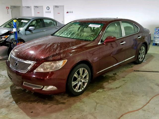 JTHBL46F085068556 - 2008 LEXUS LS 460 MAROON photo 2