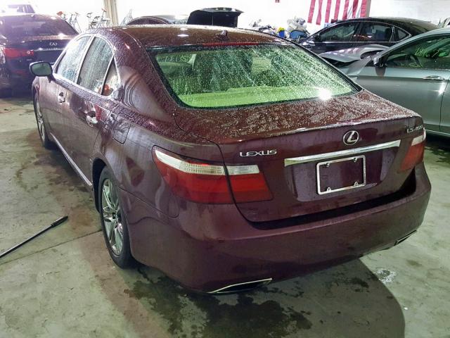 JTHBL46F085068556 - 2008 LEXUS LS 460 MAROON photo 3