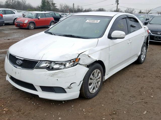 KNAFU4A24A5860412 - 2010 KIA FORTE EX WHITE photo 2