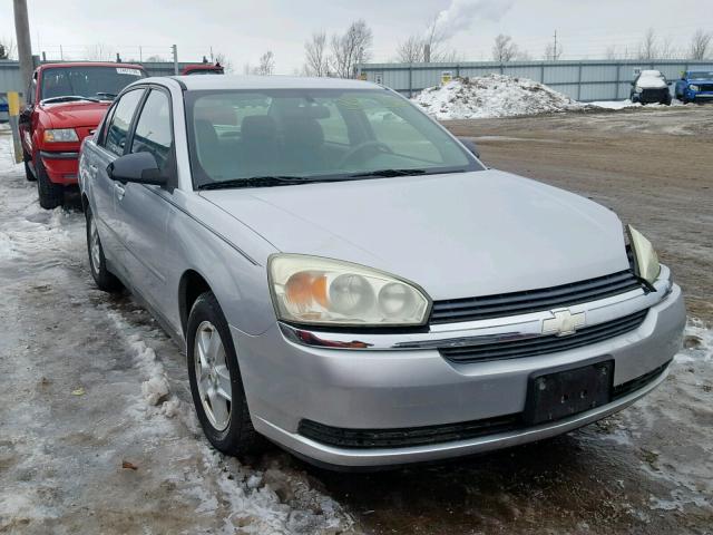 1G1ZT54885F173709 - 2005 CHEVROLET MALIBU LS Gümüş foto 1