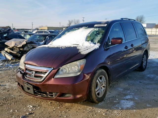 5FNRL38677B444982 - 2007 HONDA ODYSSEY EX MAROON photo 2