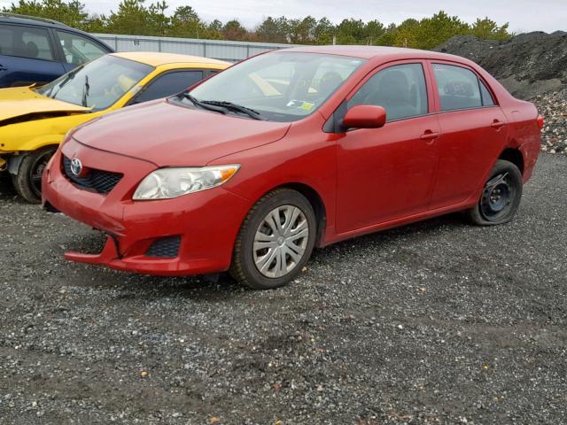 1NXBU4EE3AZ350950 - 2010 TOYOTA COROLLA BA RED photo 2