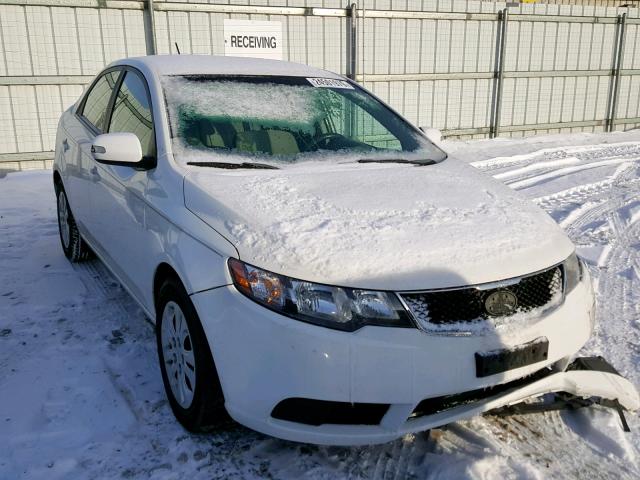 KNAFU4A25A5054692 - 2010 KIA FORTE EX WHITE photo 1