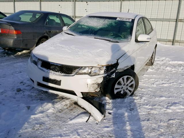 KNAFU4A25A5054692 - 2010 KIA FORTE EX WHITE photo 2