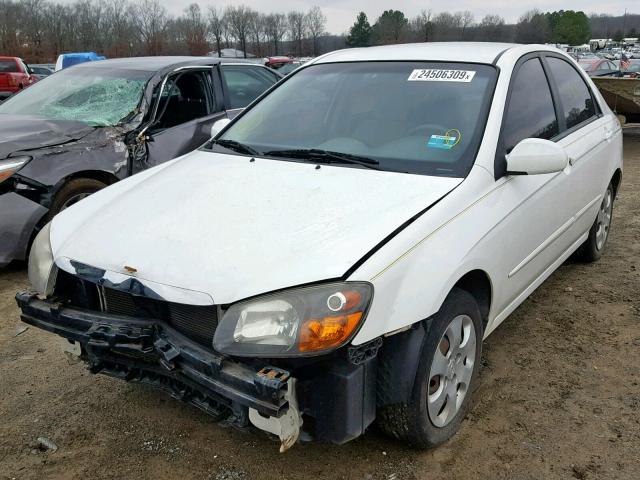 KNAFE221995598289 - 2009 KIA SPECTRA EX WHITE photo 2