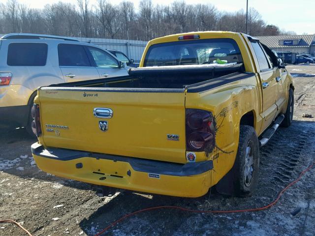 1D7HE48J26S701926 - 2006 DODGE DAKOTA QUA YELLOW photo 4