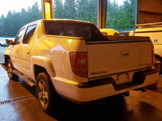 5FPYK1F56BB008444 - 2011 HONDA RIDGELINE WHITE photo 3