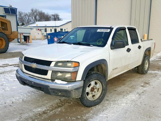 1GCDT136158140243 - 2005 CHEVROLET COLORADO WHITE photo 2