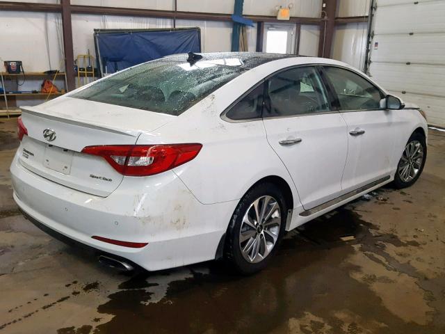 5NPE34AF5GH397337 - 2016 HYUNDAI SONATA SPO WHITE photo 4