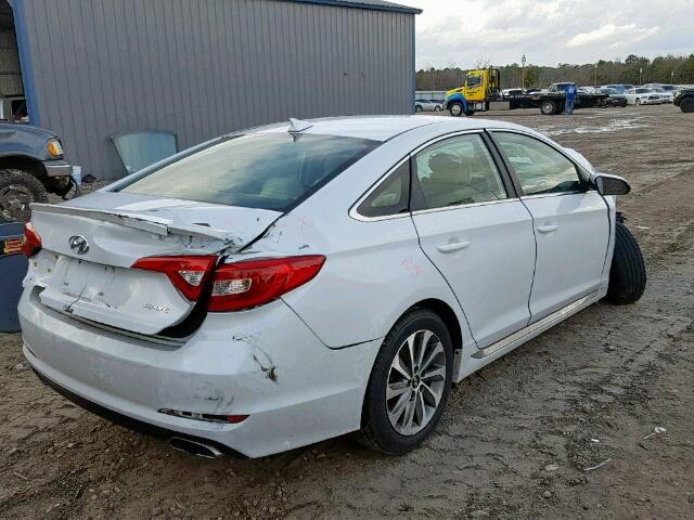 5NPE34AF9GH328084 - 2016 HYUNDAI SONATA SPO WHITE photo 4