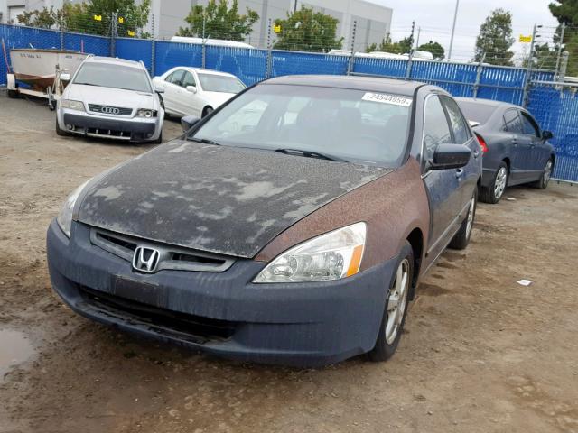 1HGCM66594A015492 - 2004 HONDA ACCORD EX GRAY photo 2