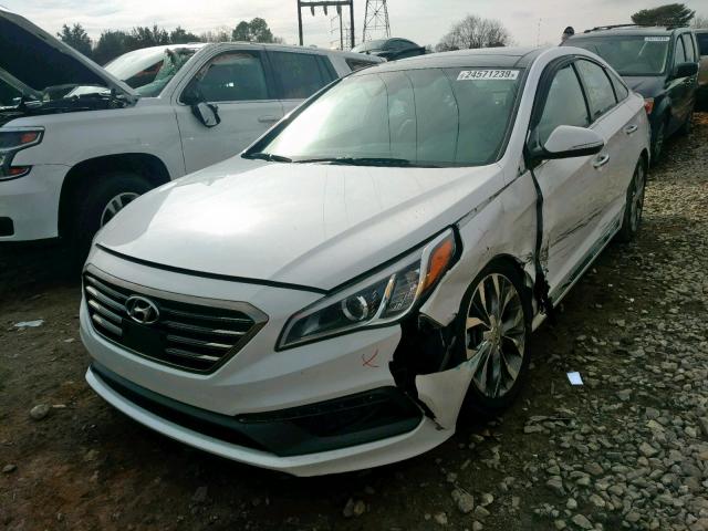 5NPE34AB5FH169012 - 2015 HYUNDAI SONATA SPO WHITE photo 2