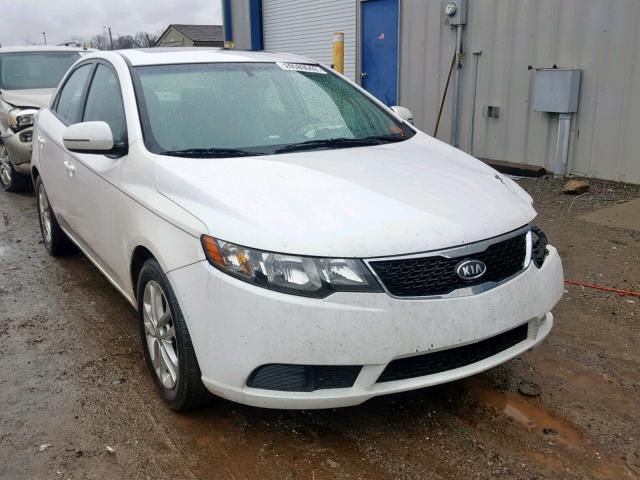 KNAFU4A29C5476841 - 2012 KIA FORTE EX WHITE photo 1