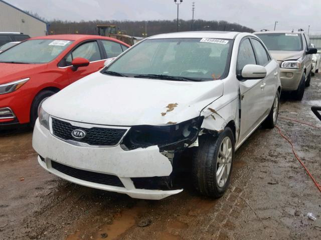 KNAFU4A29C5476841 - 2012 KIA FORTE EX WHITE photo 2