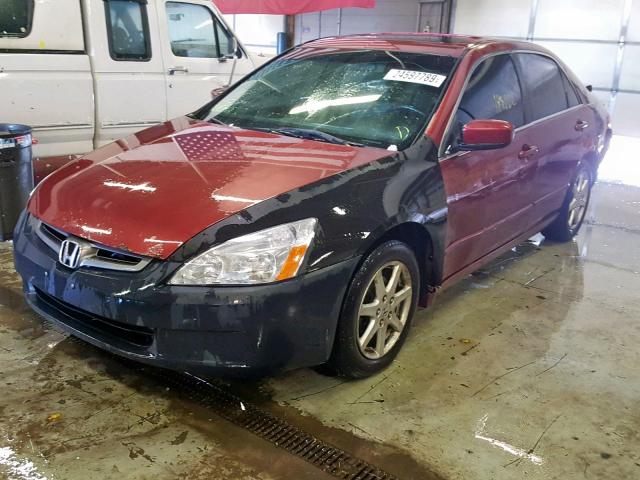 1HGCM66844A036776 - 2004 HONDA ACCORD EX MAROON photo 2