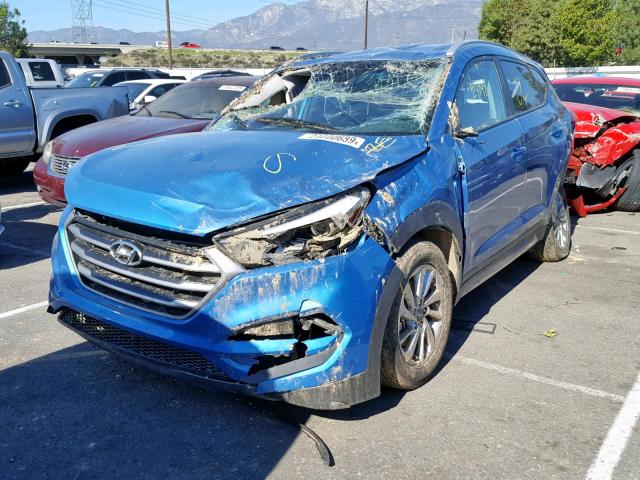 KM8J33A49HU349558 - 2017 HYUNDAI TUCSON LIM BLUE photo 2