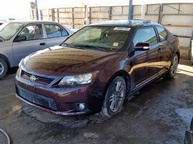 JTKJF5C77D3059391 - 2013 TOYOTA SCION TC BURGUNDY photo 2