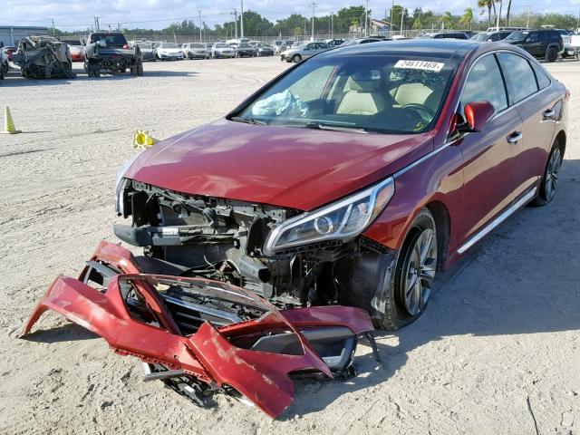 5NPE34AF6FH035600 - 2015 HYUNDAI SONATA SPO RED photo 2