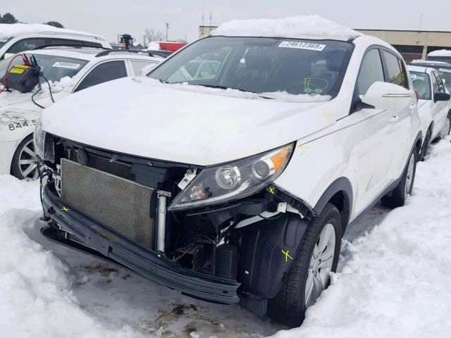 KNDPB3A29D7469272 - 2013 KIA SPORTAGE B WHITE photo 2