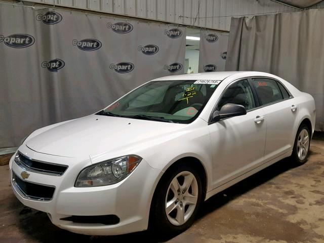 1G1ZA5EUXCF347472 - 2012 CHEVROLET MALIBU LS WHITE photo 2