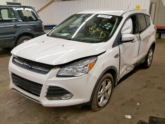 1FMCU0GX6EUD16664 - 2014 FORD ESCAPE SE WHITE photo 2