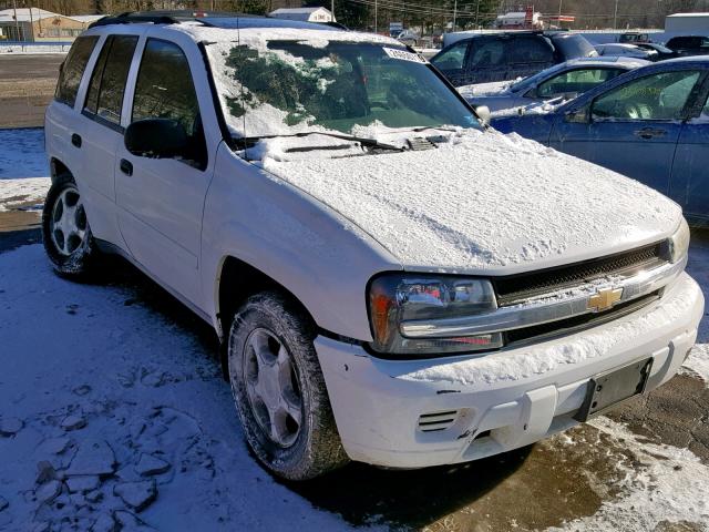 1GNDT13S972209397 - 2007 CHEVROLET TRAILBLAZE WHITE photo 1