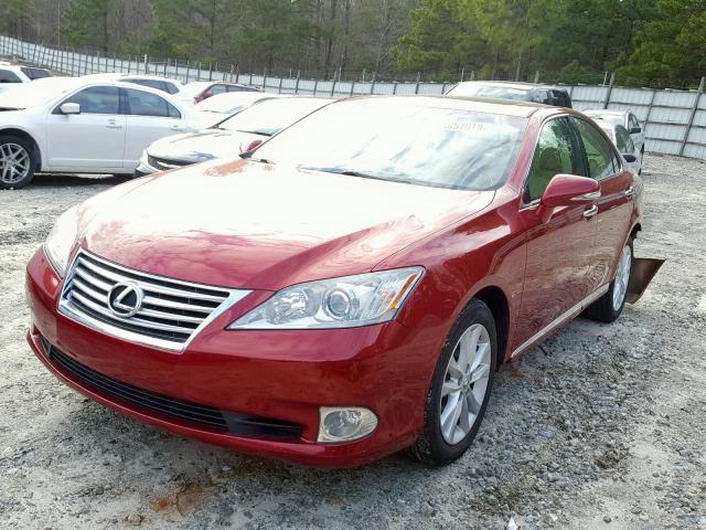 JTHBK1EG5A2373778 - 2010 LEXUS ES 350 RED photo 2