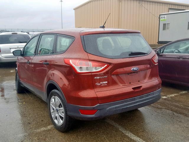 1FMCU0F77EUB48647 - 2014 FORD ESCAPE S ORANGE photo 3