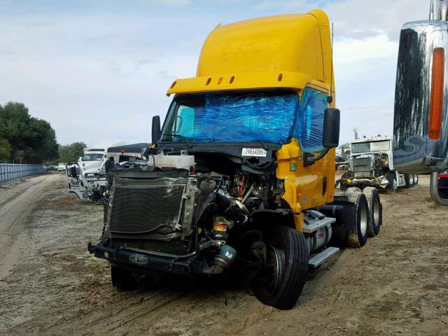 1FUJGEDV0DSBU6696 - 2013 FREIGHTLINER CASCADIA 1 YELLOW photo 2