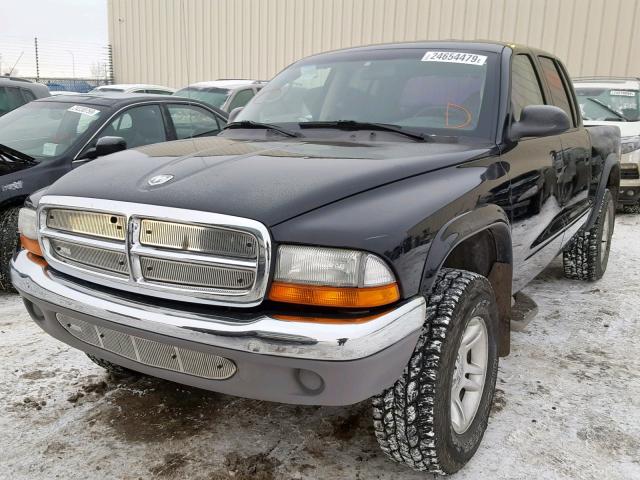 1D7HG48X43S375976 - 2003 DODGE DAKOTA QUA BLACK photo 2