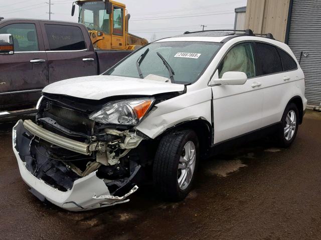 5J6RE4H71BL083340 - 2011 HONDA CR-V EXL WHITE photo 2