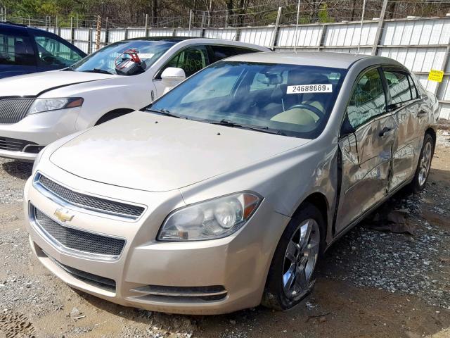 1G1ZC5EB0AF156147 - 2010 CHEVROLET MALIBU 1LT GOLD photo 2