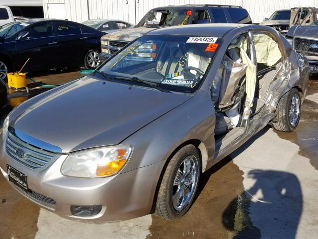 KNAFE121085503496 - 2008 KIA SPECTRA EX GOLD photo 2