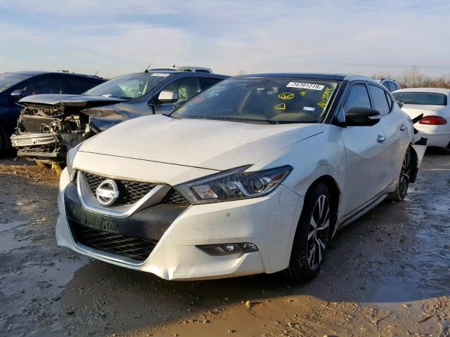 1N4AA6AP3GC383088 - 2016 NISSAN MAXIMA 3.5 WHITE photo 2